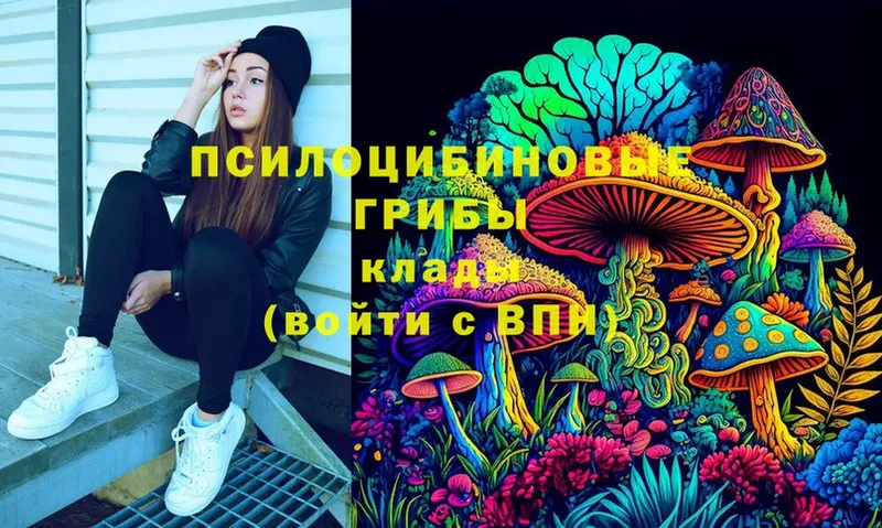 как найти закладки  Камень-на-Оби  Псилоцибиновые грибы Magic Shrooms 